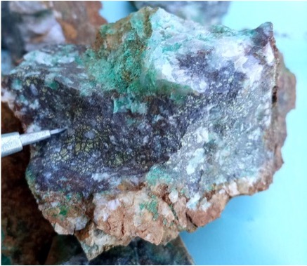 G018945 sample