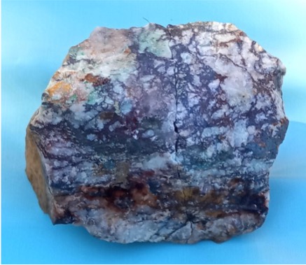 G018992 sample
